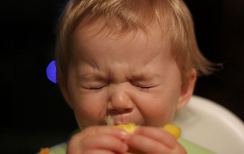 funny baby eating lemon